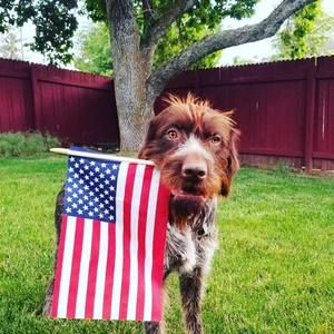 Meet your Posher, Paul